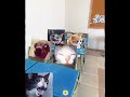 فيد تسلييك🔪🗿#لايك_اشتراك #اكسبلور #مهتم بي هذا المحتو فولو مي #cat #funny