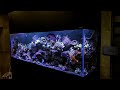 1000l nad którym ciągle pracuje, realizacja AT Corals / #akwarystykamorska #reeftank @Maxspect 