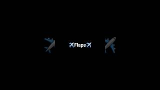 ✈️A Quoi Servent Les Flaps ?✈️ #aviation #plane #planespotting #flaps #avion