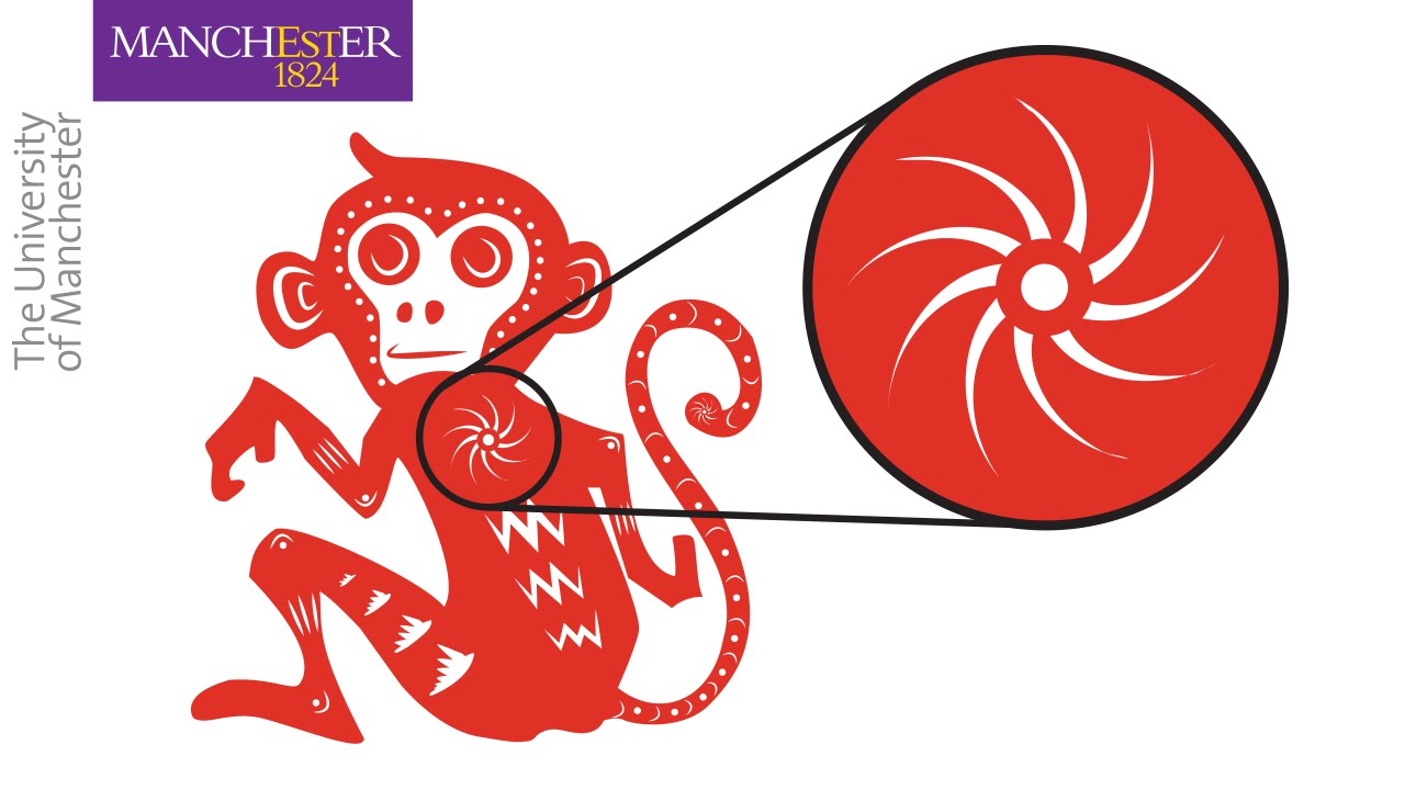 How To Show Zoomed In Details With Illustrator CC Adobe YouTube How To Show Zoomed In Details With Illustrator CC Adobe YouTube