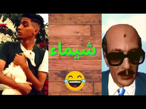 تحليل مهرجان شيماء سادات مصر