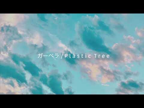 ガーベラ / Plastic Tree (cover) by in vitro.