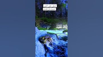 #قران_كريم #سورة الفاتحه لفضيلة الشيخ محمد الحيدان #اكسبلور #المصحف #   صلى على سيدنا محمد #صبرو