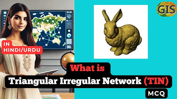 TIN stands for? | What is a Triangular Irregular Network (TIN) in HINDI/URDU