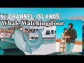 Channel Islands Whale watching tour (plus helpful guide for your trip!)