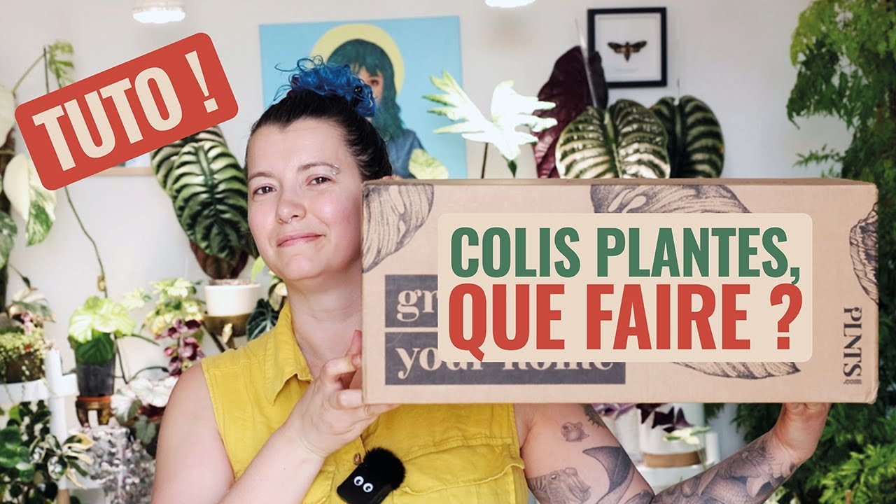 📦 🪴 Que faire quand on reçoit une nouvelle plante ? 👩‍🌾