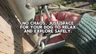 No chaos, just space for your and your dog to relax and play