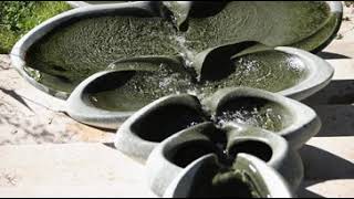 Anthroposophy | Wikipedia audio article