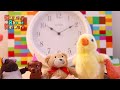 Nursery Rhyme Network Live | Singalong Songs for Toddlers, Babies &amp; Young Kids!
