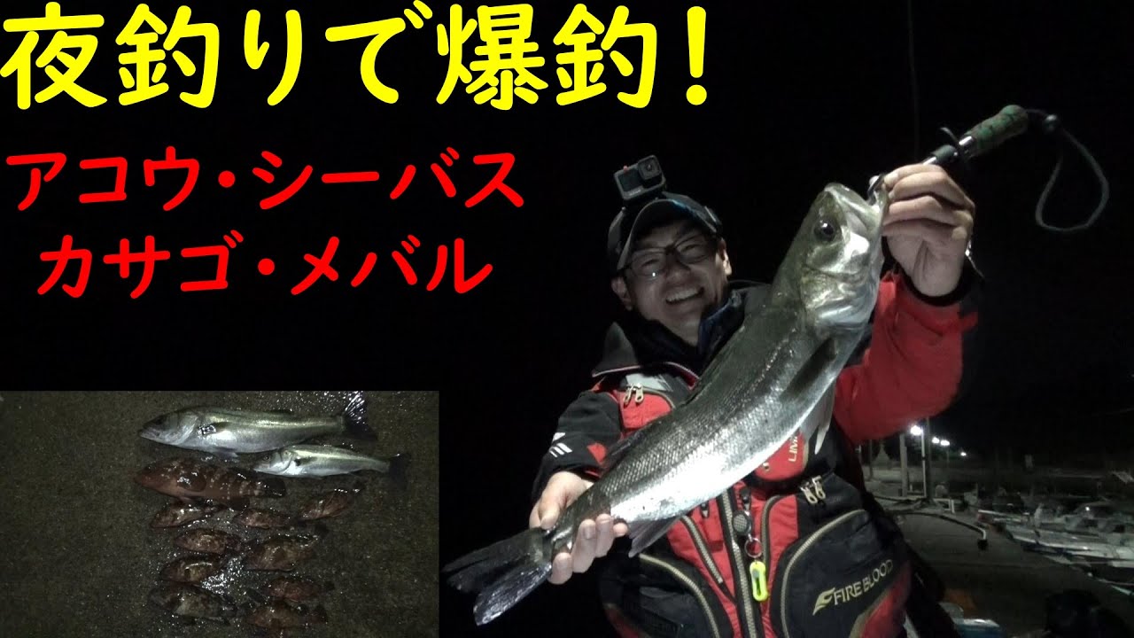 夜釣りでめっちゃ釣れたぞ アコウ カサゴ シーバス メバル ポワッソーン ジグヘッド メタルジグ Youtube