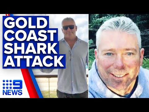 Gold Coast local killed in shark attack | 9News Australia