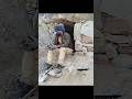🔥 Building a Secret Cave Shelter in the Wild! 🏕️❄️ | Extreme Survival Camping #shorts