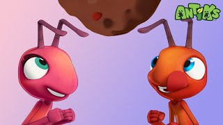 Meatball | 🐛 Antiks & Insectibles 🐜 | Funny Cartoons for Kids | Moonbug