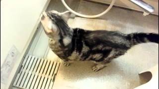 Lee-Chan Really Wants To Take Bath