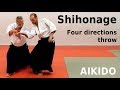 Aikido technique shihonage on basic attacks by stefan stenudd