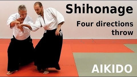 Aikido technique SHIHONAGE on basic attacks, by Stefan Stenudd
