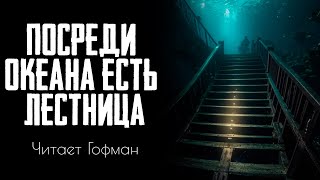картинка: 