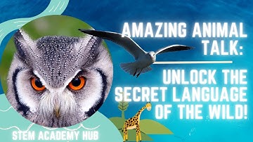 Amazing Animal Talk: Unlock the Secret Language of the Wild!