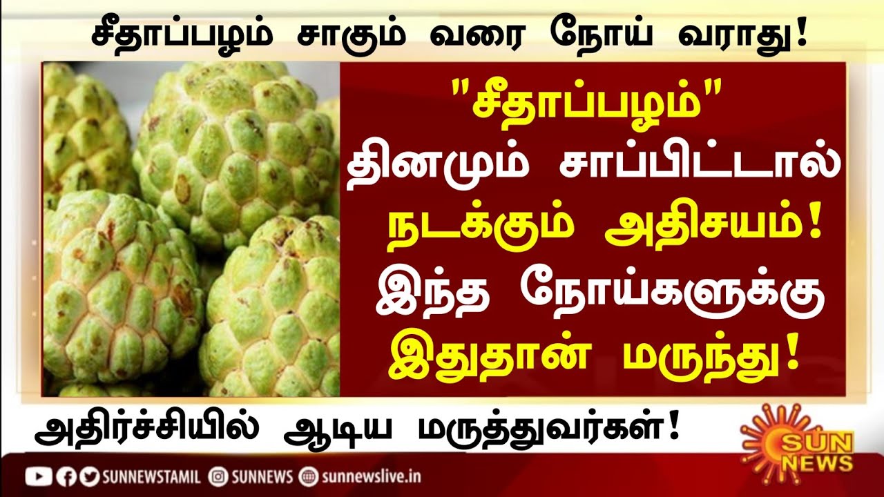 சீதாப்பழம் மருத்துவ அற்புதம்! | Custard Apple Health Benefits in Tamil| Health Tips in Tamil  