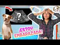 🐶¡ESTOY EMBARAZADA! 🍼♥️"MI PRIMER ULTRASONIDO" 🐕REACCION DE TODAS 😱| Conny Merlin