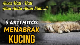 Hati Hati Atau Anda Akan Sial 5 Arti Mitos Menabrak Kucing Tanpa Sengaja Menurut Islam Primbon