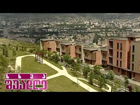 ლისი დეველოპმენტის ხედები