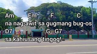 Ania Kami