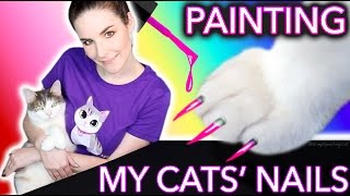 Painting my Cats' Nails