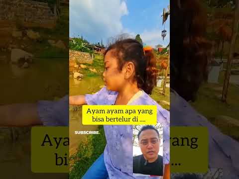 Jawaban Teka Teki Ayam Ayam Apa Yang Paling Kecil