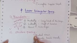 Upper triangular space & Lower triangular space #anatomy #medicos #mbbs #youtube #study#neetpg Profile