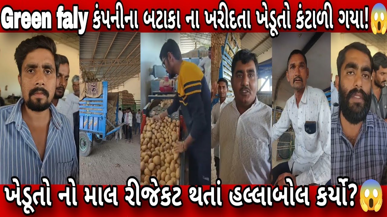 Green faly કંપનીના બટાકા ના ખરીદતા ખેડૂતો કંટાળી ગયા! ખેડૂતો નો માલ રીજેકટ થતાં હલ્લાબોલ મચાવ્યો?😱
