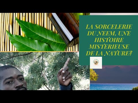 Vidéo: L'huile de neem tuera-t-elle les vers de sac ?