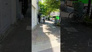 千束三丁目あたりを走っていたら…☀|いいじゃん散歩