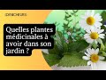 10 plantes mdicinales  planter dans son jardin 