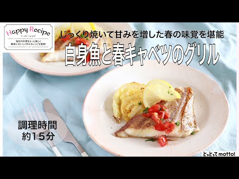 【旬野菜レシピ】白身魚と春キャベツのグリル（23.04.14)