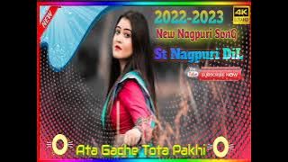 Ata Gache Tota Pakhi Nagpuri Song !! St Nagpuri DiL !! DJ Debrato Babu Nagpuri Song!! NaGpUriSong