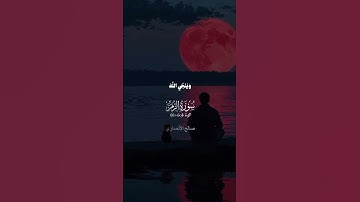تلاوة مريحة لقلبك ♥️🌿 بصوت الشيخ صالح الأنصاري #قران_راحه_نفسيه_قوالب_دينيه