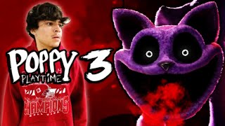 Poppy Playtime 3 in Real Life | Catnap | D&D Squad