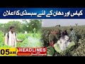 Good News For Farmers - Big Relief Given | 5am News Headlines | 22 May 2024 | City 41