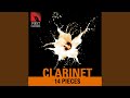 Concerto for Clarinet and String Orchestra: I. Allegro