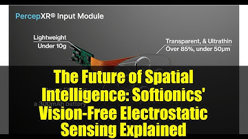 The Future of Spatial Intelligence: Softionics