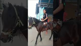 Download Lagu Lora diki beraksi lagi, Cucu pendekar ( Khr as'ad ) #khrkholilasad MP3