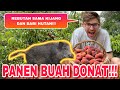 PANEN BUAH PEACH GRATIS SUPER PUAS!!!