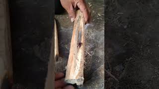 fire plow with short fire board #firemaking #creativesurvival #bushcraft #survival