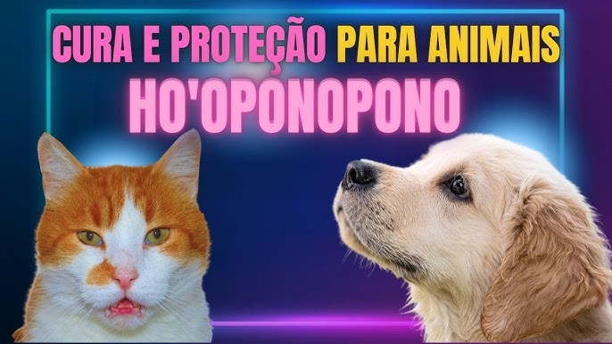 Oração de São Roque para a proteção dos cachorros, O Liberal