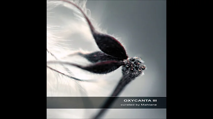 Circular - Complex A | Chill Space