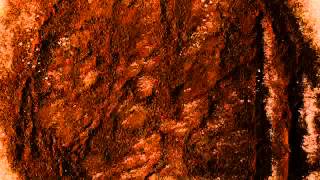 Tims Coffee Artistry