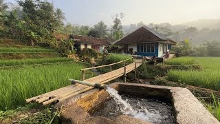 The Most Peaceful Morning in the Village: Breathing Fresh Air With No Pollution | Time Seems to S...