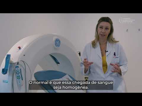 Vídeo: O que significa estilografia?