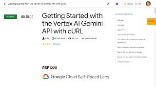 Getting Started with the Vertex AI Gemini API with cURL GSP1228